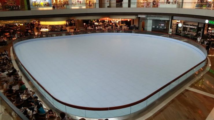 IM-ICE Design Standards and Investment Budget